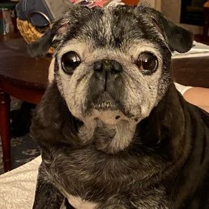 Meet your Posher, Lori